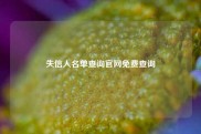 失信人名单查询官网免费查询