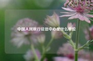 中国人民银行征信中心是什么单位